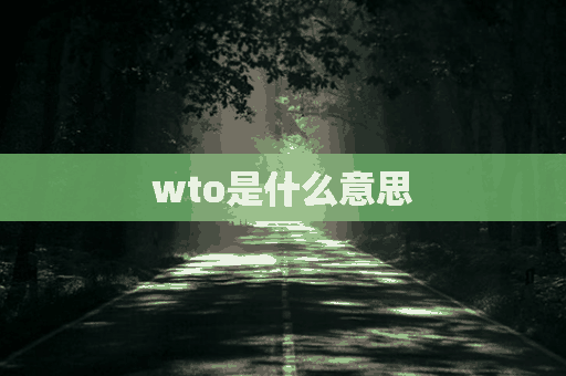 wto是什么意思(wTO是什么意思中文翻译)